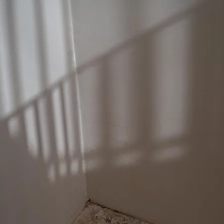 Il Leccio